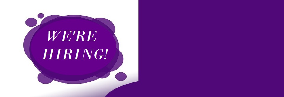 Seeking to Hire: Video Curriculum Writer